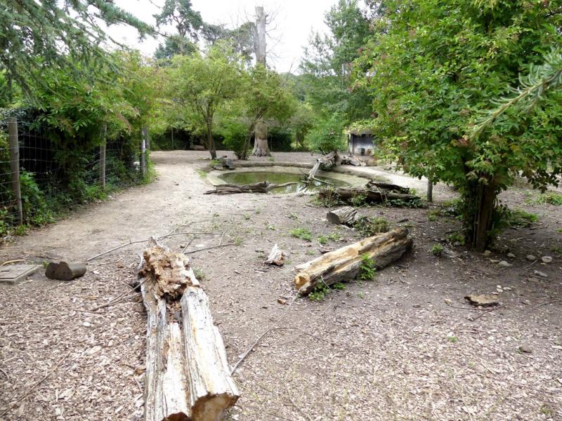 Plaine sud-américaine - 2021