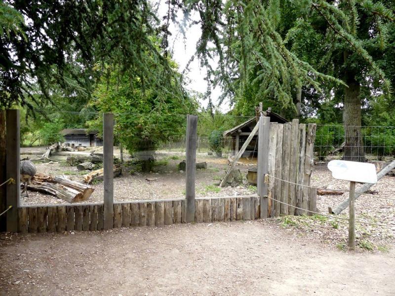 Plaine sud-américaine - 2021