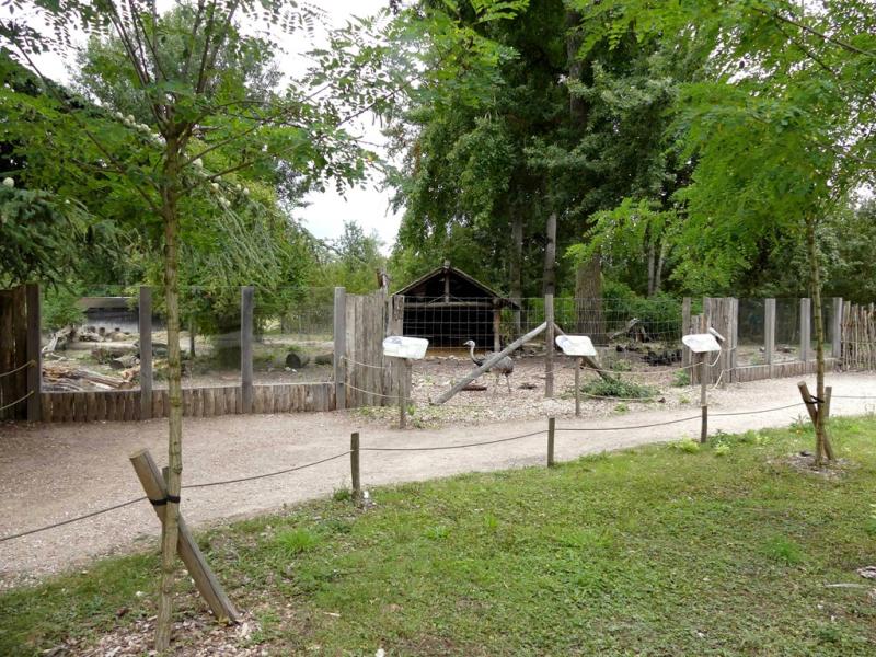 Plaine sud-américaine - 2021