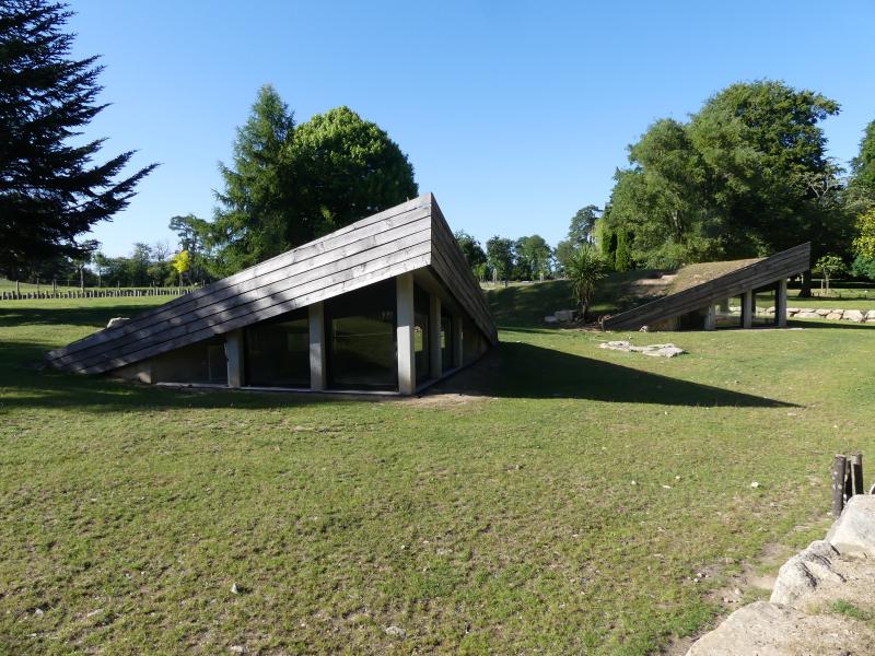 Tortue sillonnée - Tortue léopard - 2021