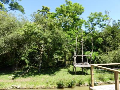 Gibbon à bonnet - 2021