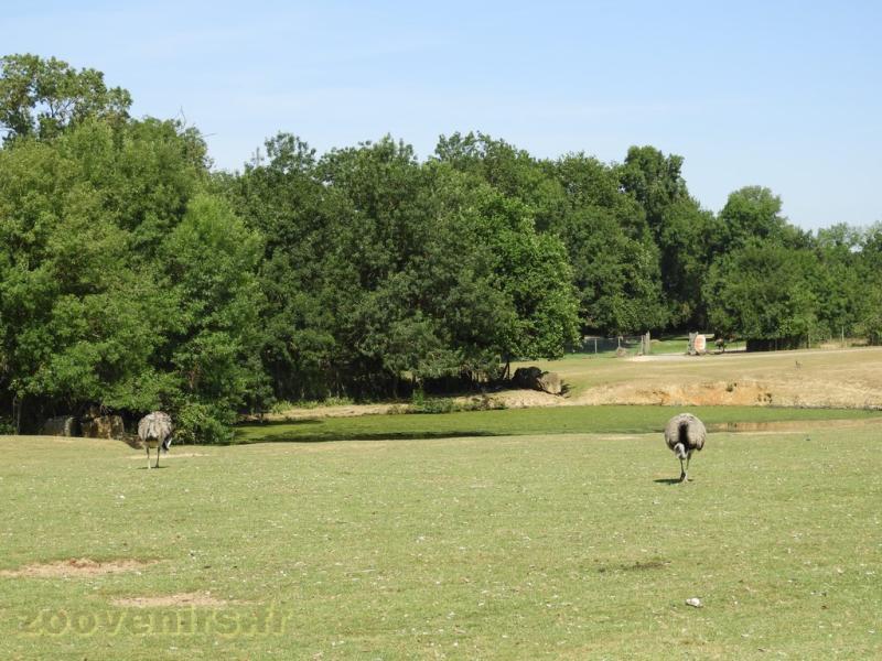 Prairie américaine - 2017
