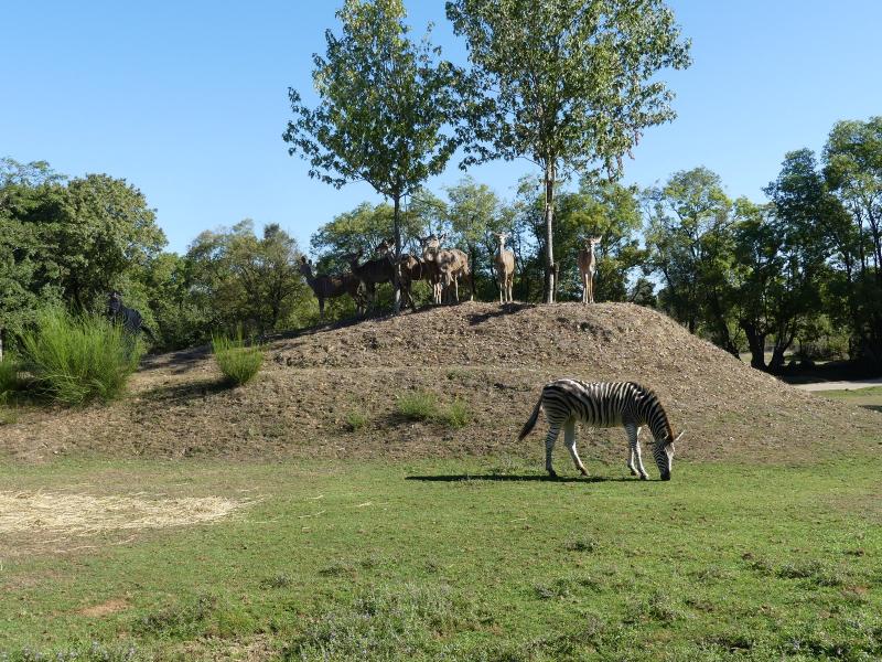 Piste Afrique - 2023