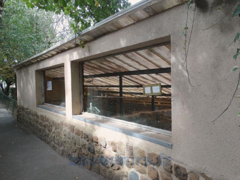 Installation petits oiseaux