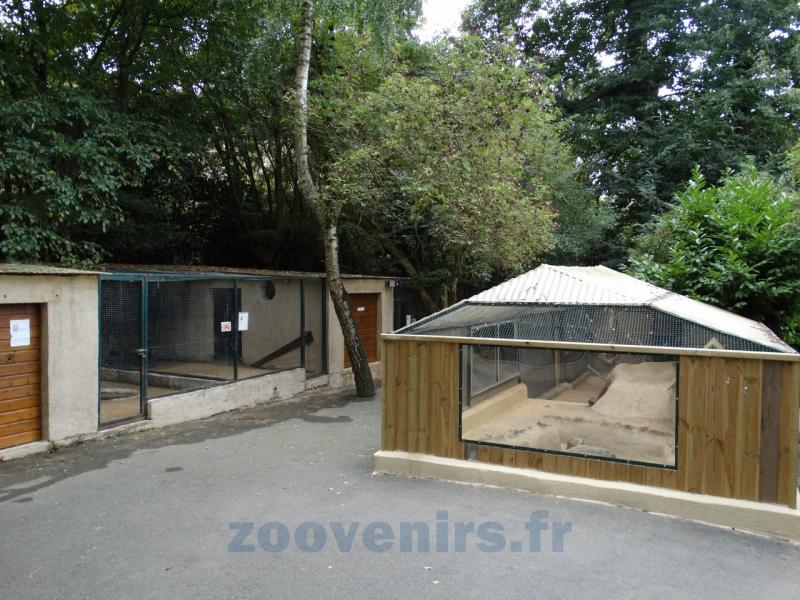 Installation des Furets