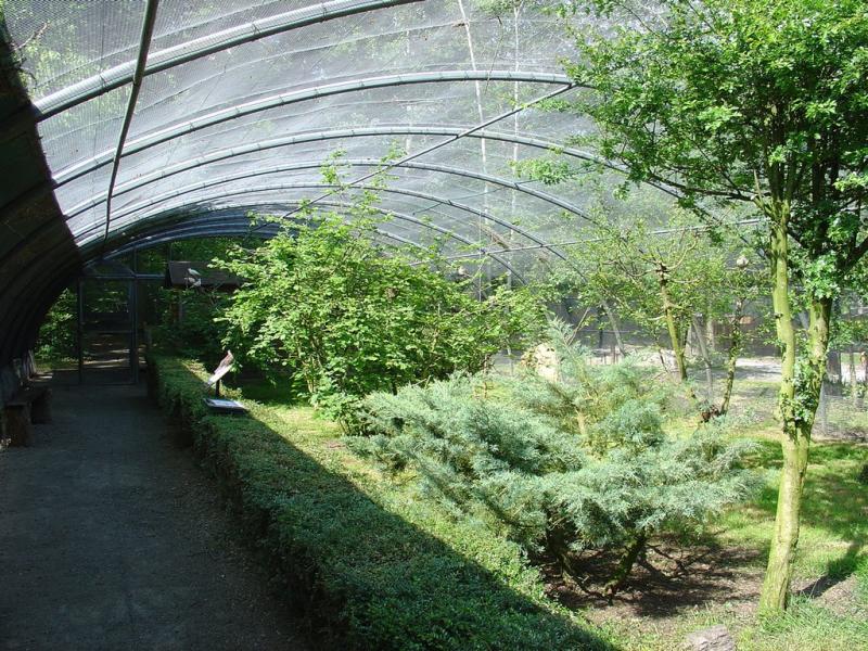 La volière des aras - 2003