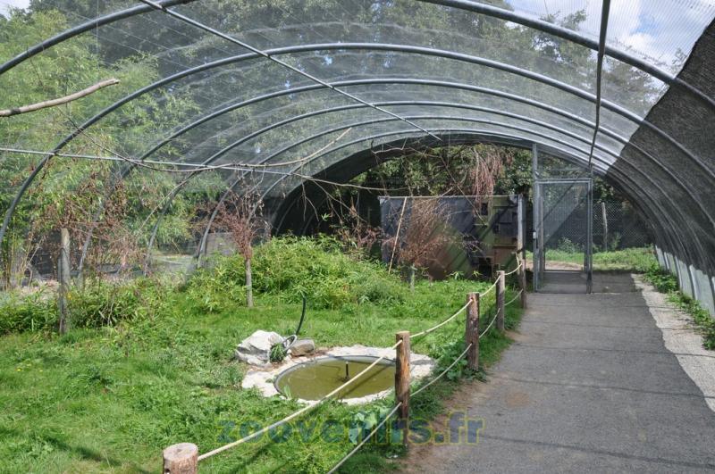 Volière des perruches - 2011