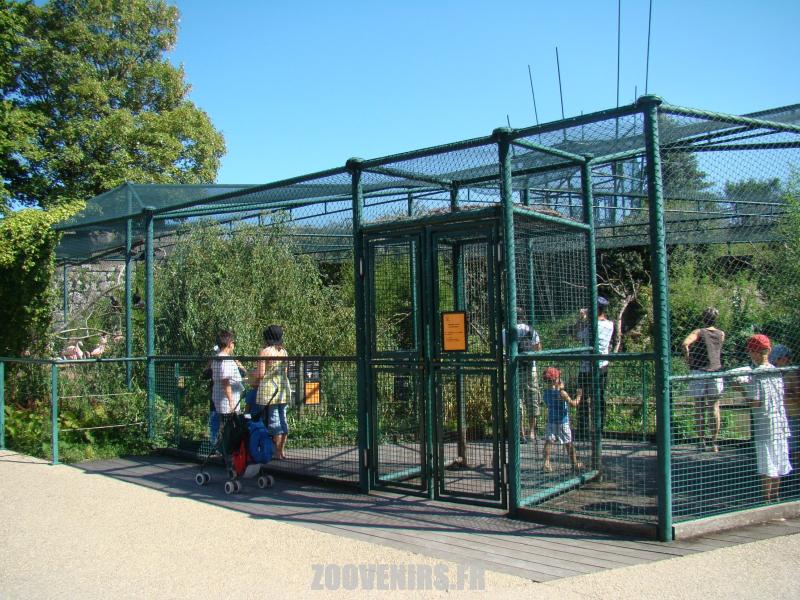 Volière des oiseaux d'eau