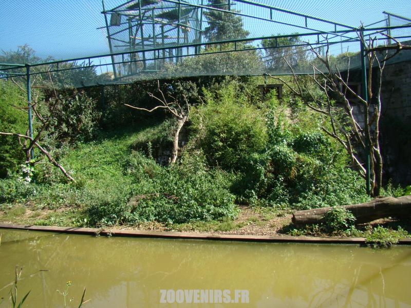 Volière des oiseaux d'eau