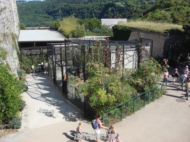 Vue générale des volières des oiseaux