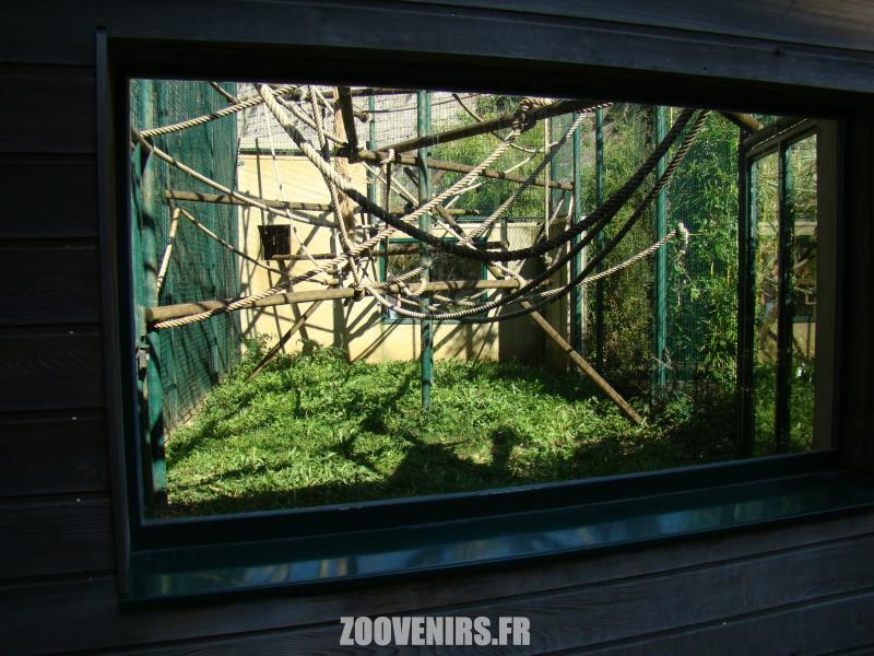 Cage-volière des singes