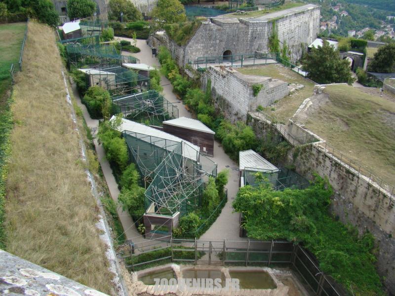 Vue générale des cages des singes