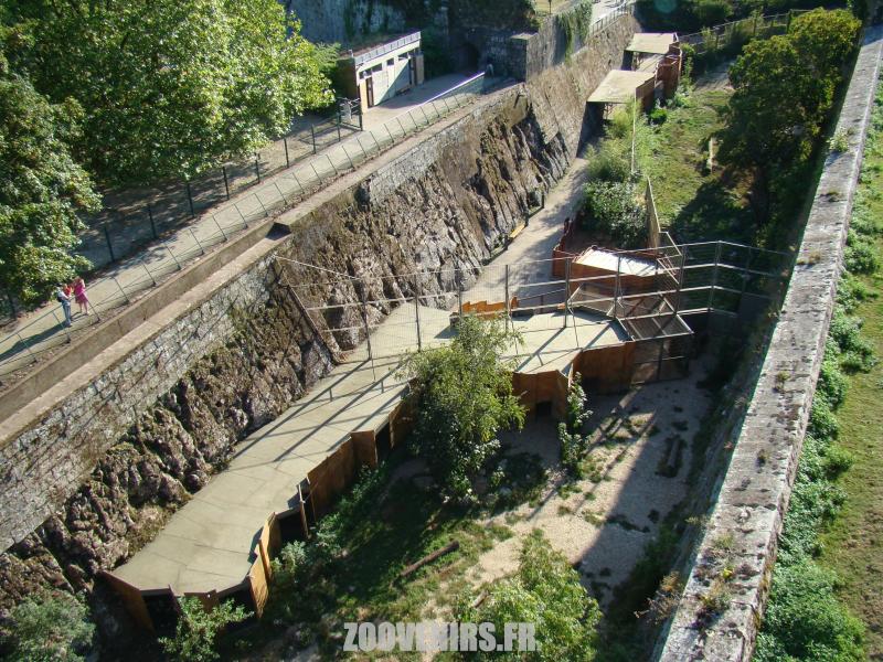 Vue générale des parcs des fauves