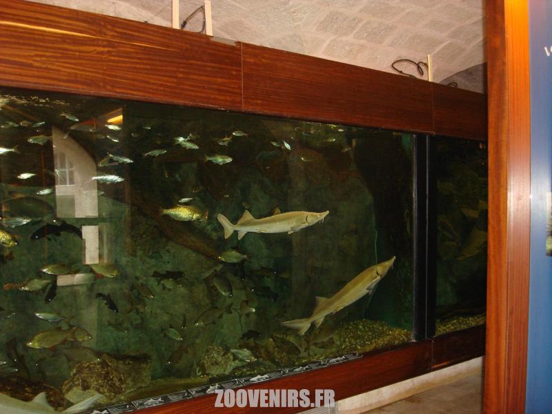 Aquarium