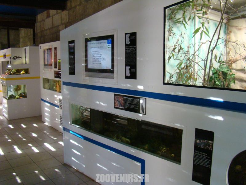 Aquarium