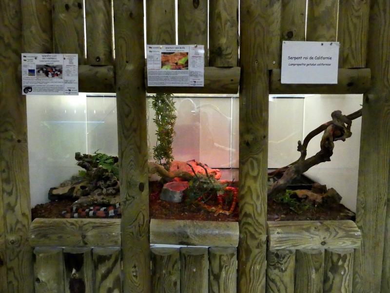 Vivarium