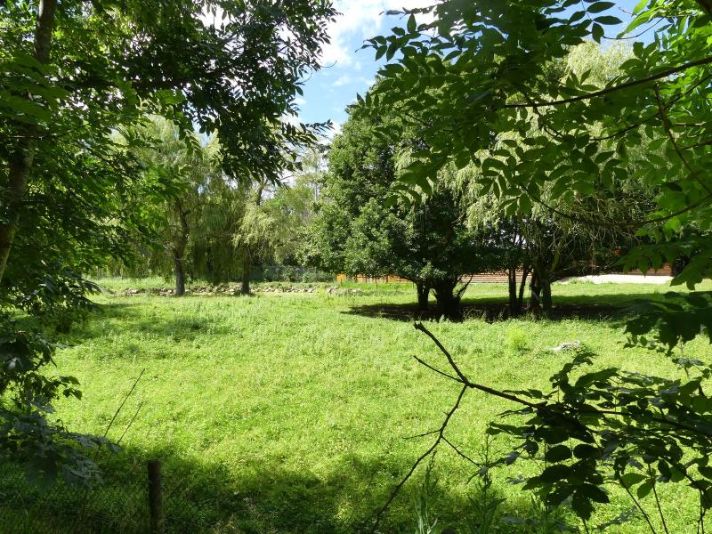 Tapir - Mara - Capybara