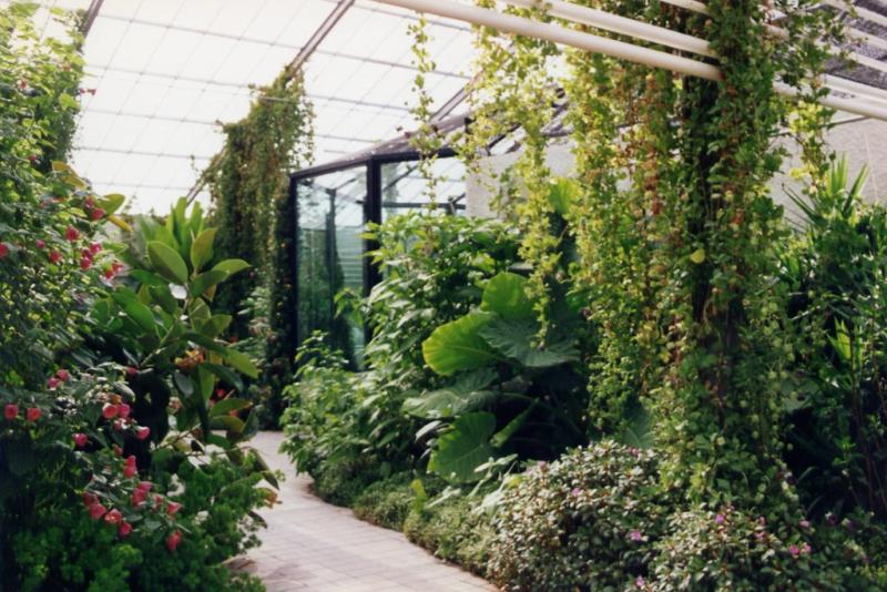 Serre oiseaux - 2005