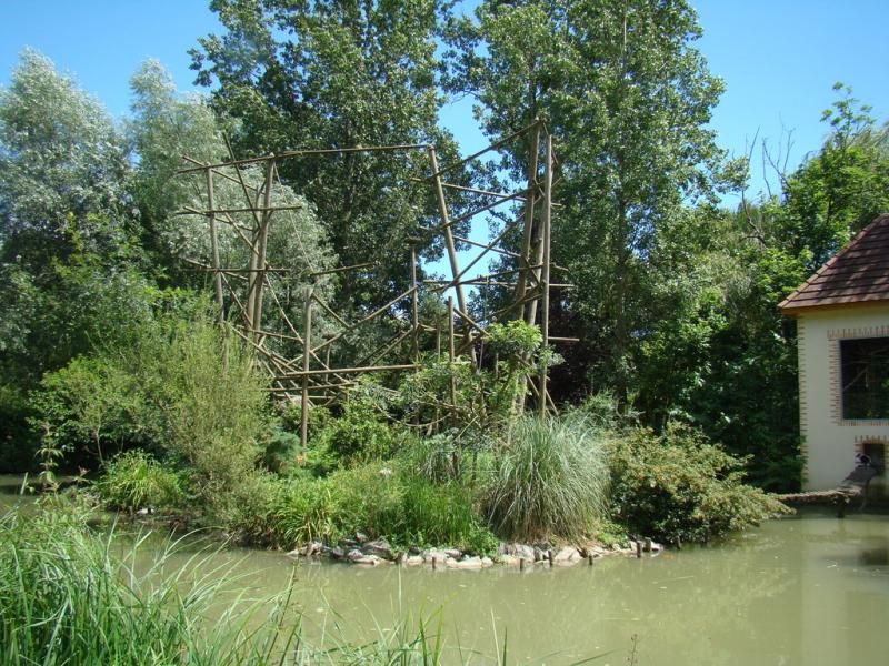 Vari noir et blanc - 2008