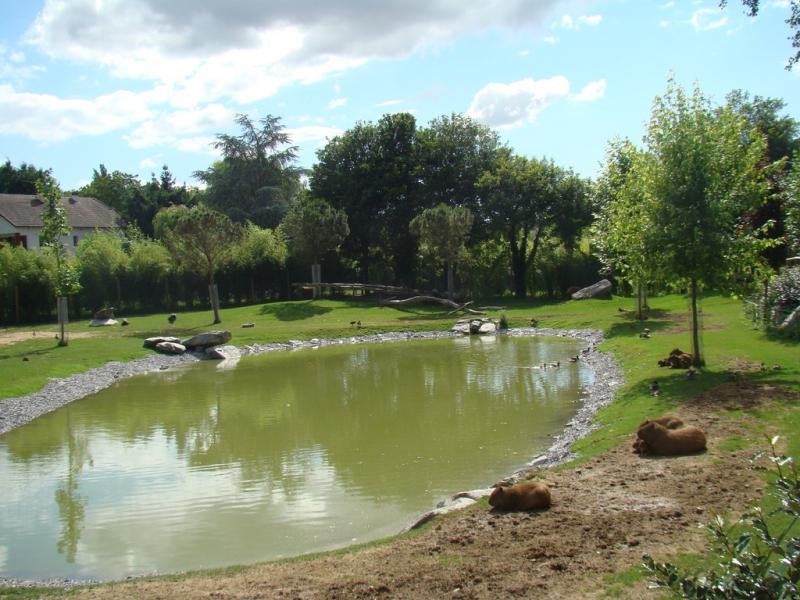 Plaine des tapirs terrestres - 2008