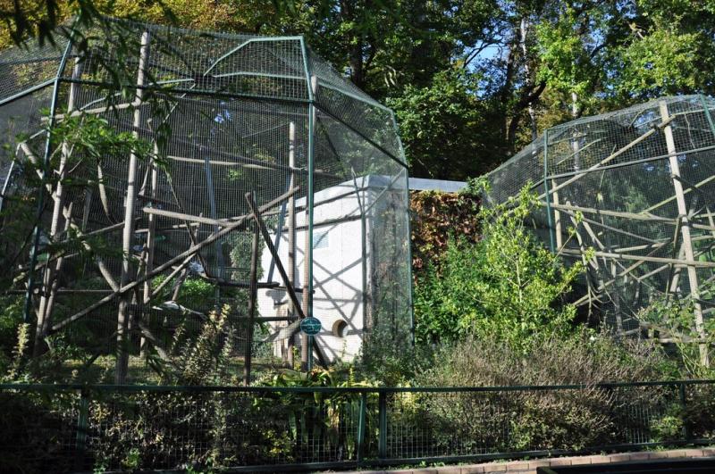 Volières singes  - 2014