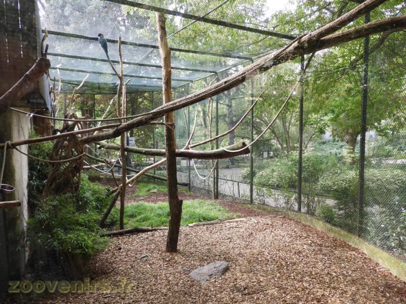 Volière des oiseaux