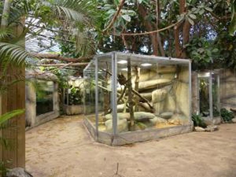Vivarium