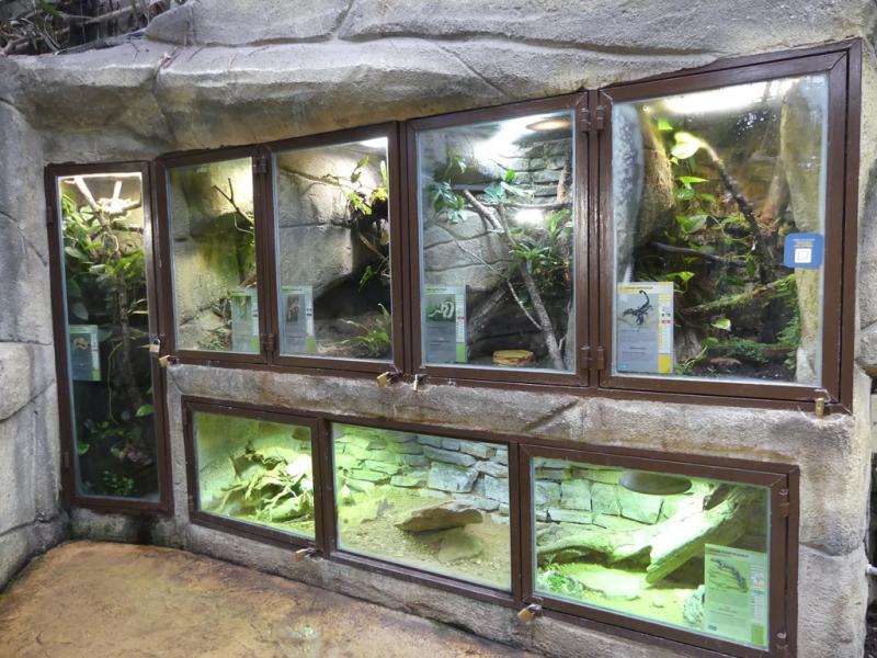 Vivarium