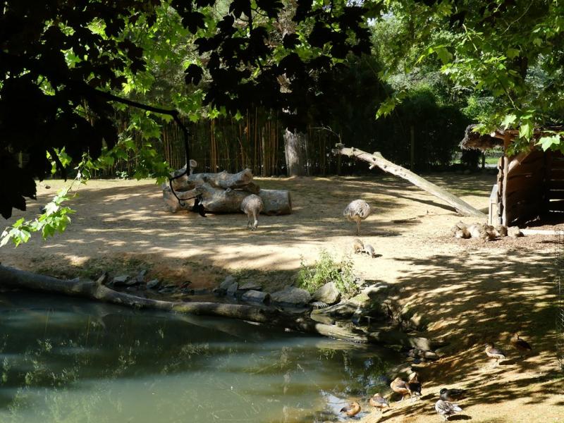 Pampa sud-américaine - 2022