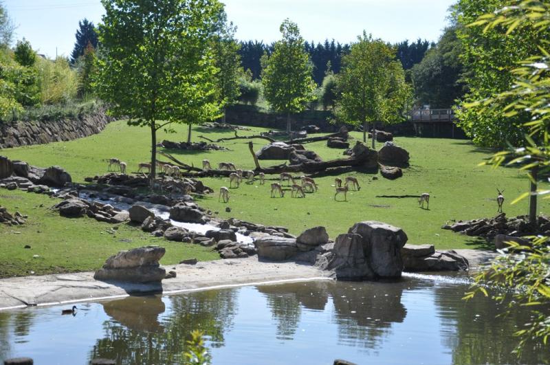 Plaine Rhinocéros indien - 2014