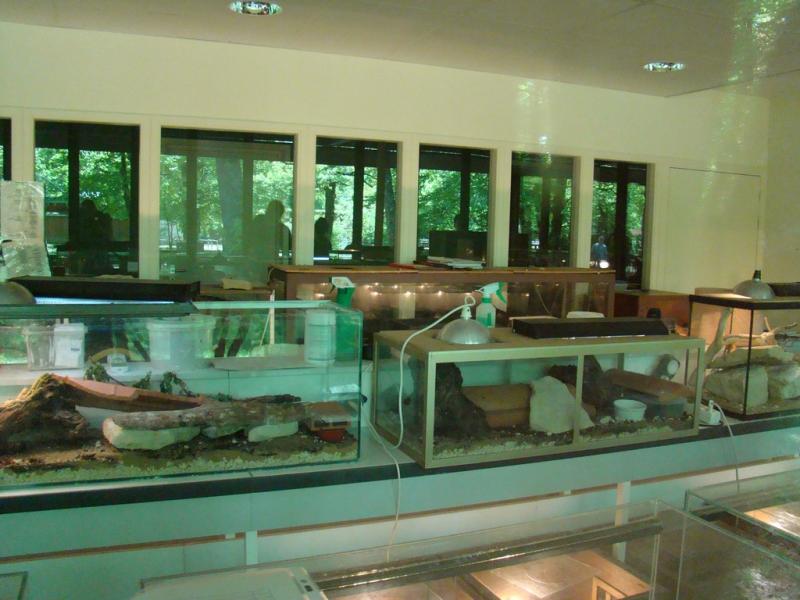 Laboratoire - Nurserie - 2009