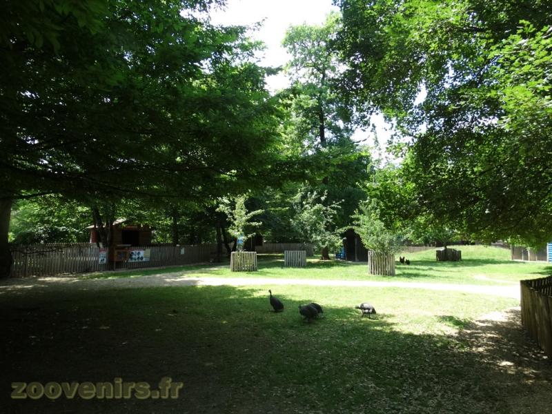 Cour de la mini-ferme - 2009