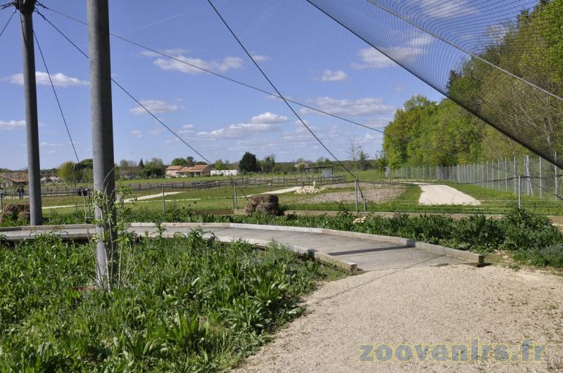 La petite volière - 2009