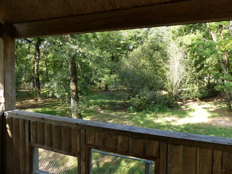 Loup d'Europe - 2017