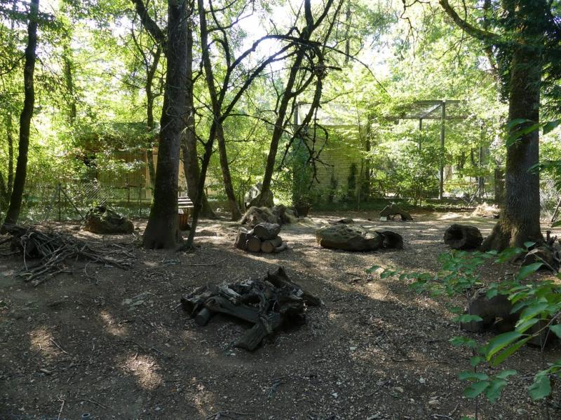 Lapin de Garenne - 2017