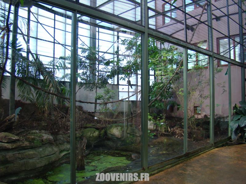 Saki - Trogon à queue noire - Tamarin de Goeldi - 2010