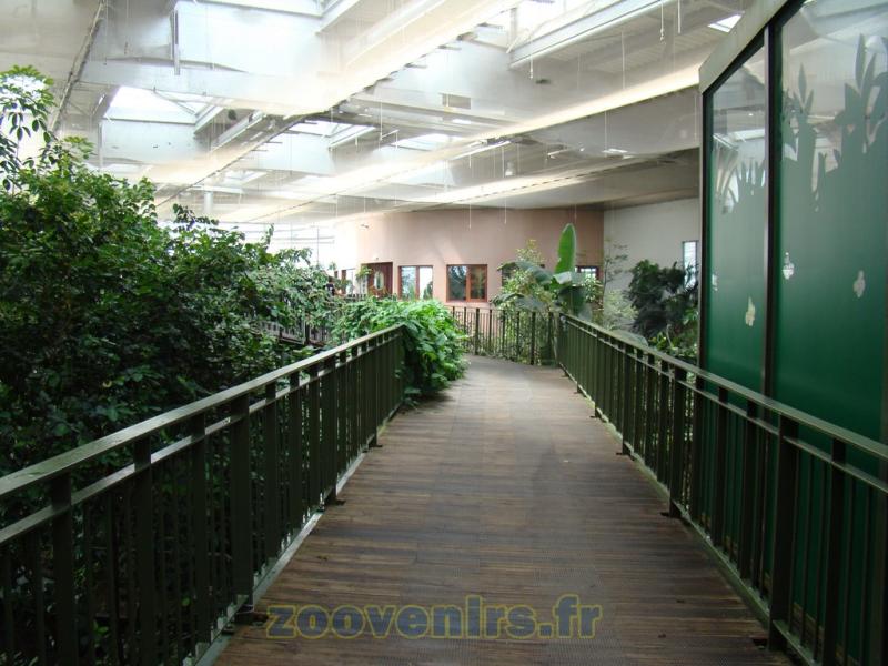 Serre tropicale - 2010