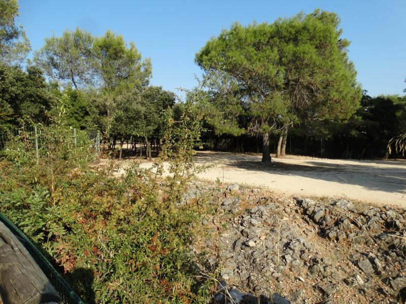 Plaine africaine - 2016