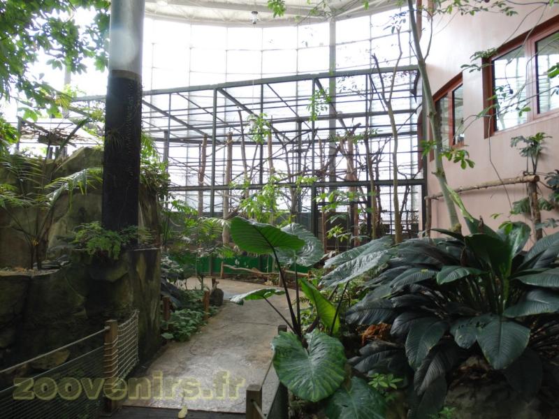 Saki - Trogon à queue noire - Tamarin de Goeldi - 2016