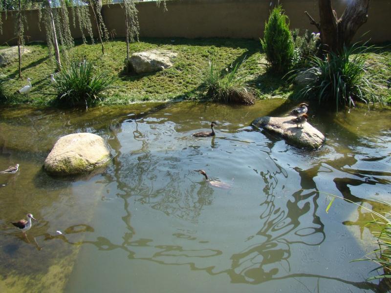 Les ailes de la nature - 2009