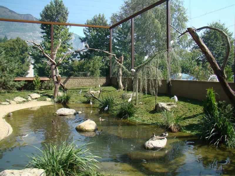 Les ailes de la nature - 2009