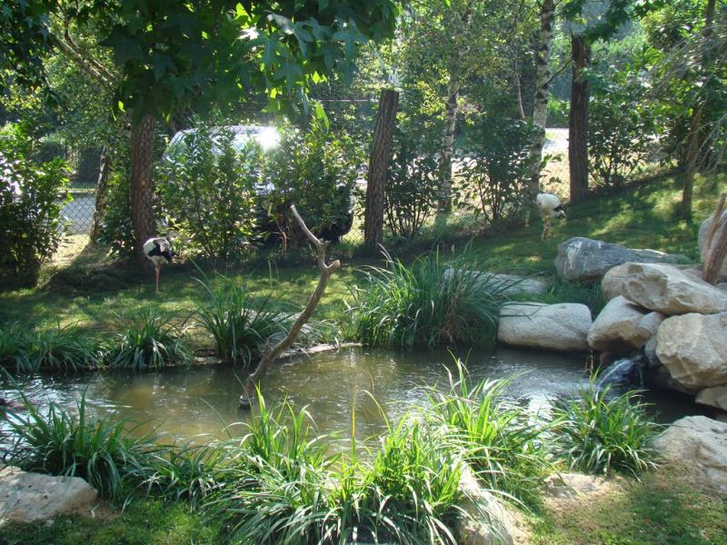 Parc migrateurs - 2009