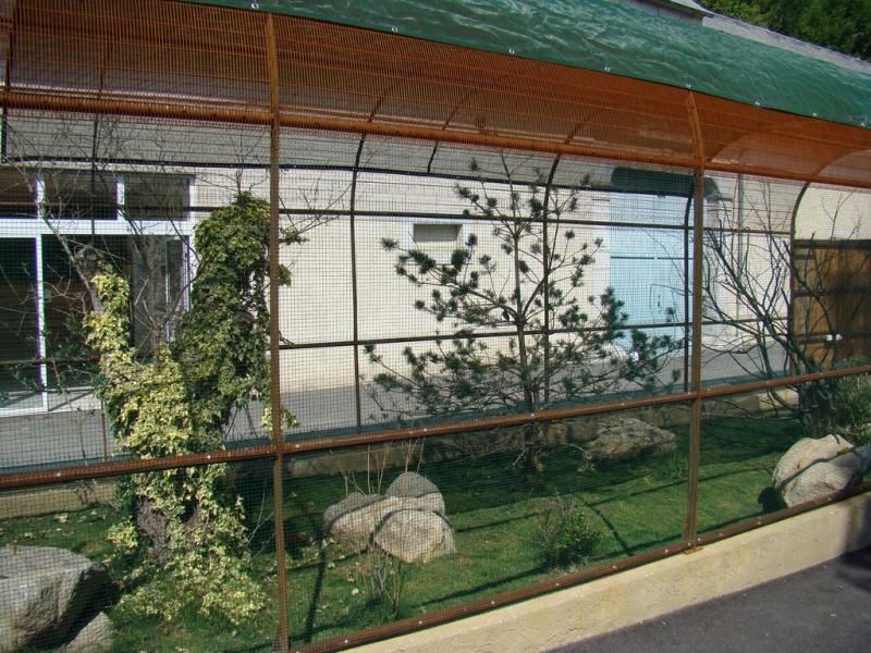 Passereaux - 2009
