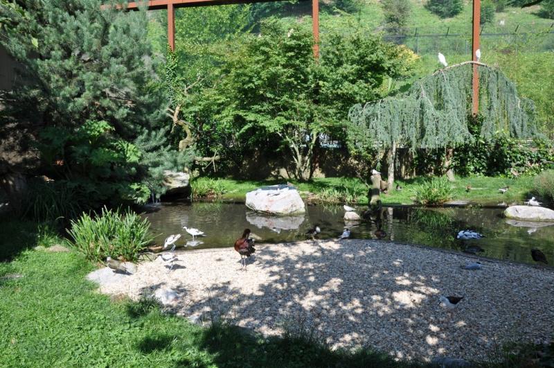 Les ailes de la nature