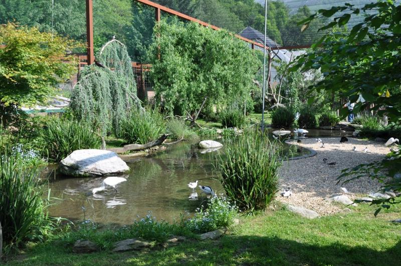 Les ailes de la nature - 2012