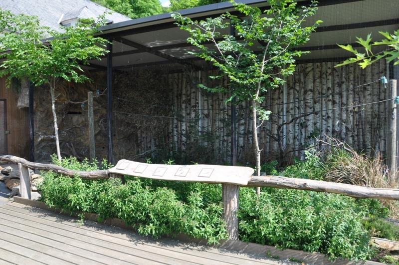 Guêpier d'Europe - 2012