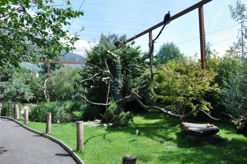 Les ailes de la nature - 2015