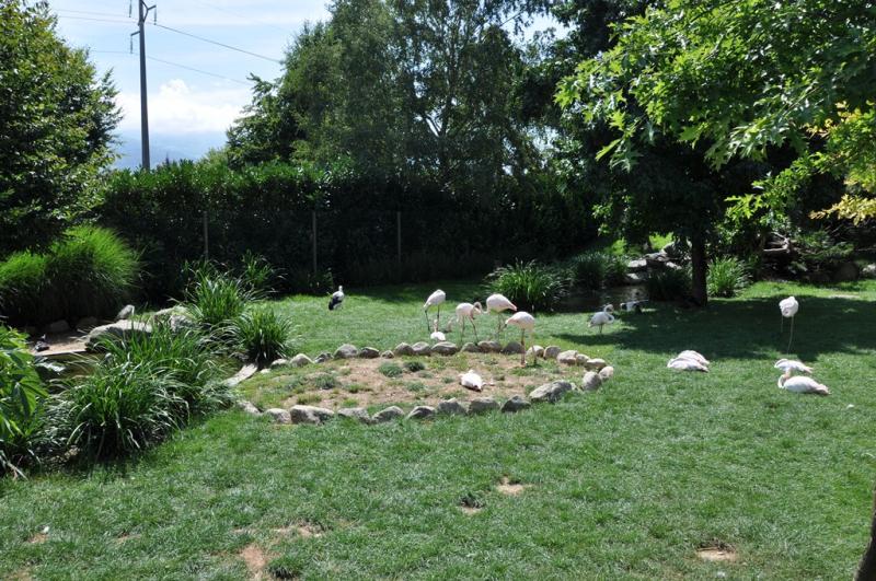 Parc des migrateurs - 2015