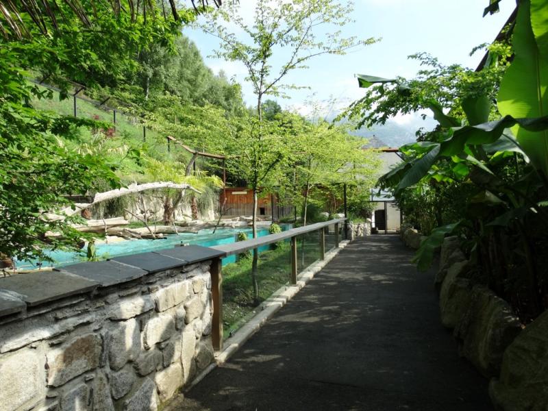 Loutre géante - 2015