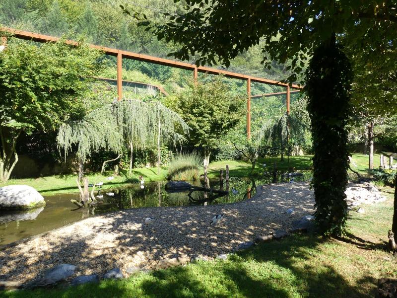 Volière d'Europe - 2020